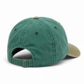 Pigment-Dyed Dad Hat, Back left three-quarter view